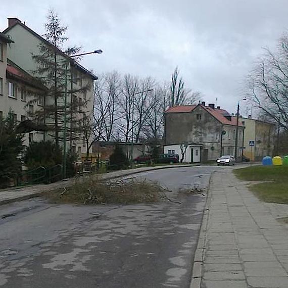 Uwaga mocno wieje! Wiatr �amie drzewa i powala znaki drogowe