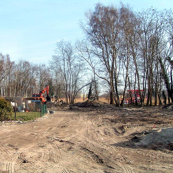 Dziwnów: Wycięli drzewa i krzaki bo budują nową drogę do portu