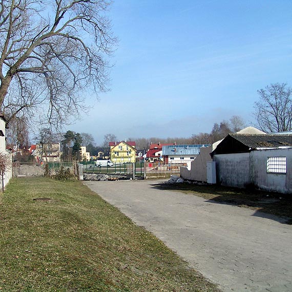 Dziwnów: Wycięli drzewa i krzaki bo budują nową drogę do portu