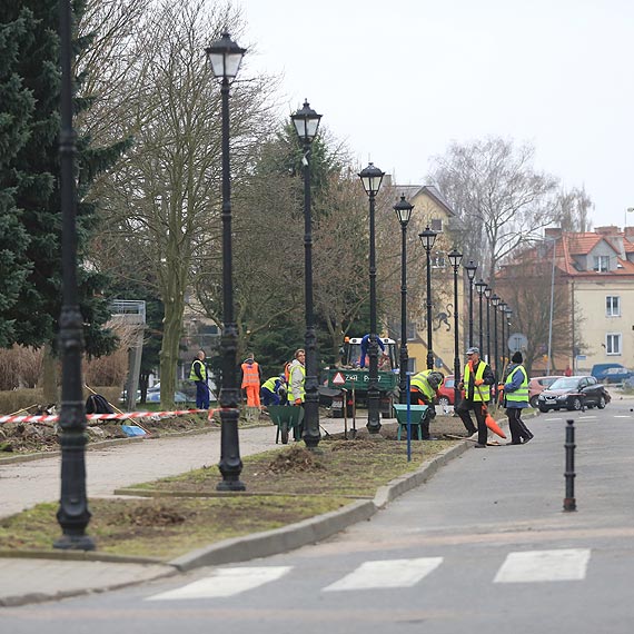 W Kamieniu Pomorskim przy ulicy Mickiewicza przygotowuj� trawniki do nasadze�