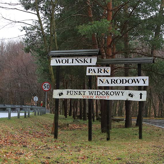 Z Woli�skiego Parku Narodowego robi� wysypisko