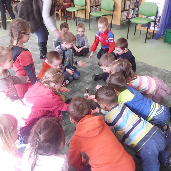 Gumisie i lekcja z �ywymi zwierz�tkami w bibliotece w Dziwnowie