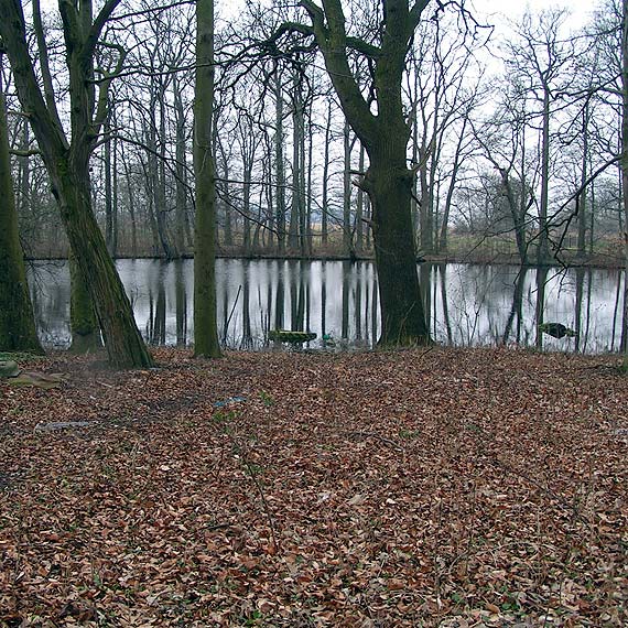 WRZOSOWO: krajobraz po...?
