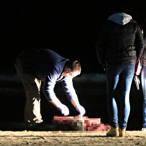 Zw�oki kobiety odnaleziono w wodzie na pla�y