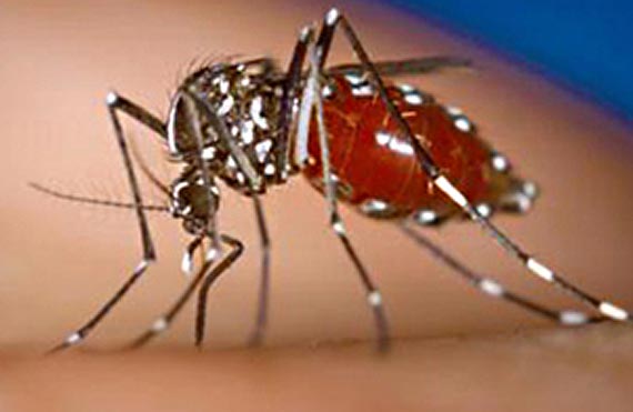 Nied�ugo �wiatowy Dzie� Zdrowia