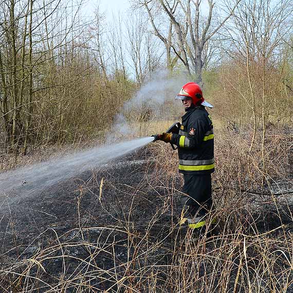 Pożar traw na nieużytkach w Lubinie