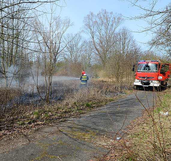 Pożar traw na nieużytkach w Lubinie