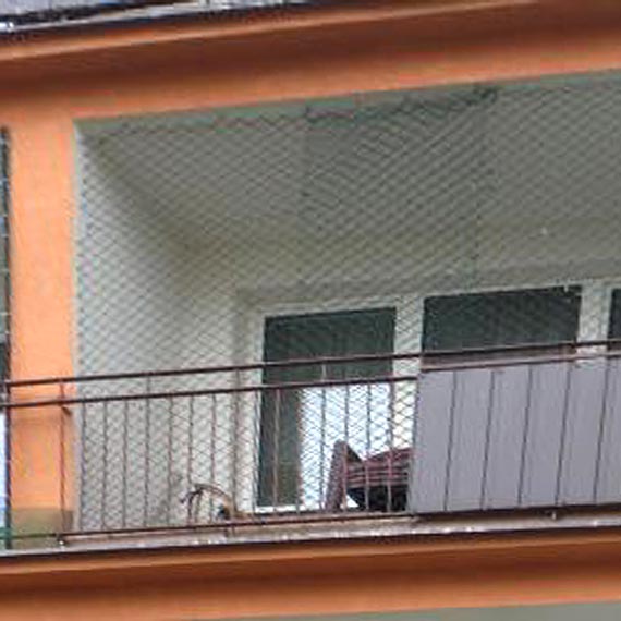 Co najcz�ciej brudz� go��bie i jak je przep�dzi�?