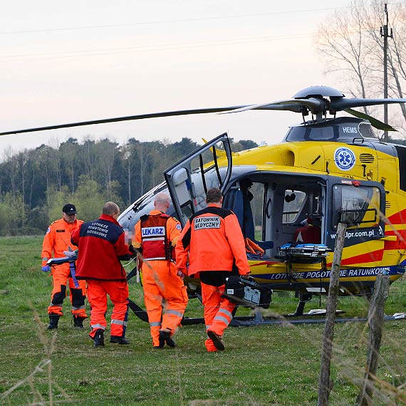 2-letnia dziewczynka pogryziona przez psa!