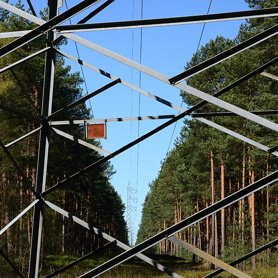 Czytelnik: Dlaczego linie energetyczne przebiegają tak blisko wysokich drzew?