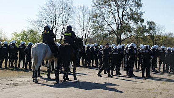 Egzamin dla policyjnych koni i jeźdźców. Z udziałem uczniów Technikum Hodowli Koni w Benicach