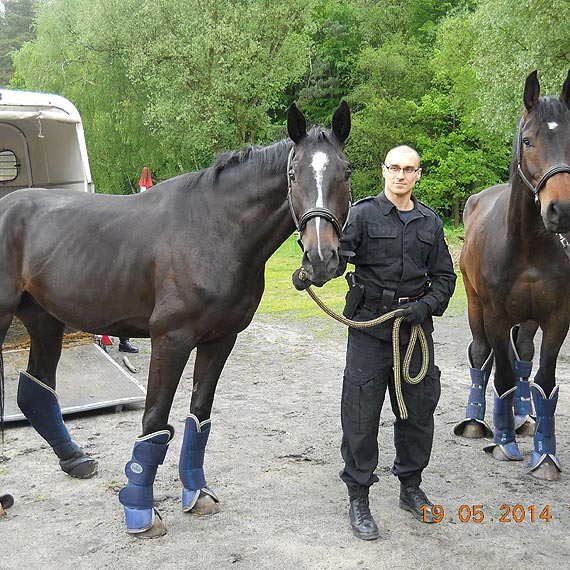  Czy Cynober i Korsarz b�d� s�u�y� w Policji ?