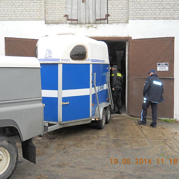 Czy Cynober i Korsarz będą służyć w Policji ?