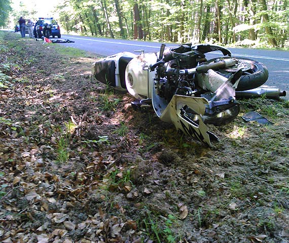 Grony wypadek na drodze wojewdzkiej numer 102. Motocyklista uderzy w dzika