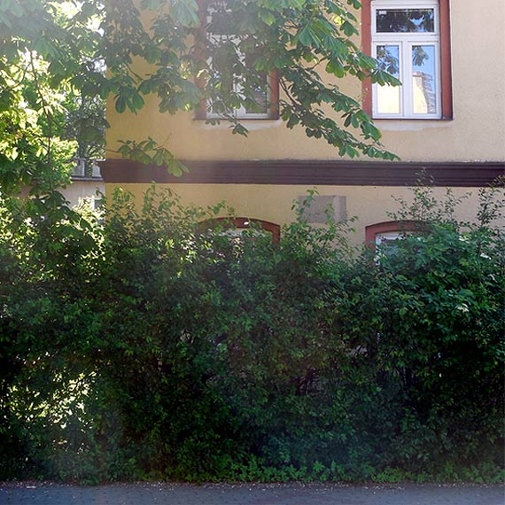 Starostwo Powiatowe i jego zaniedbane nieruchomo�ci