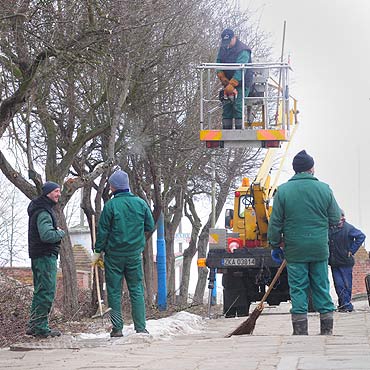 Zimowe przycinanie drzew i krzew�w