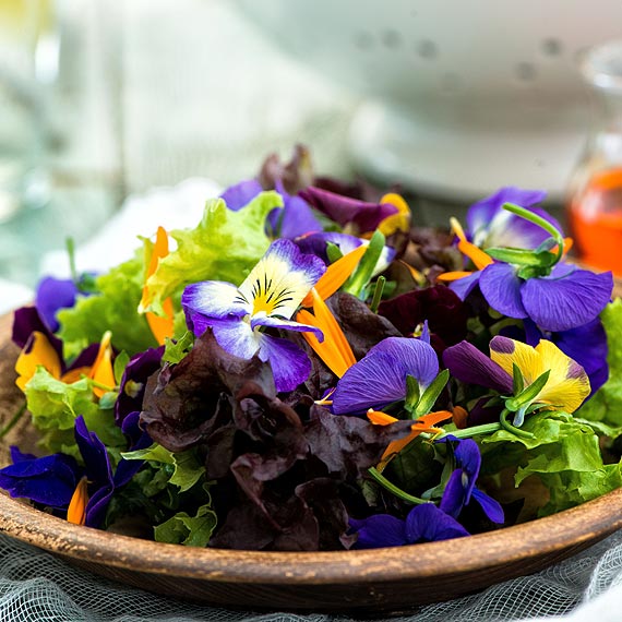 Lekkie sa�atki w sam raz na lato