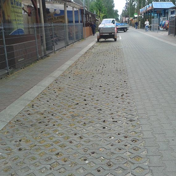 Czy�by sprz�taj�cy zapomnieli o ulicy Wojska Polskiego w Mi�dzywodziu?