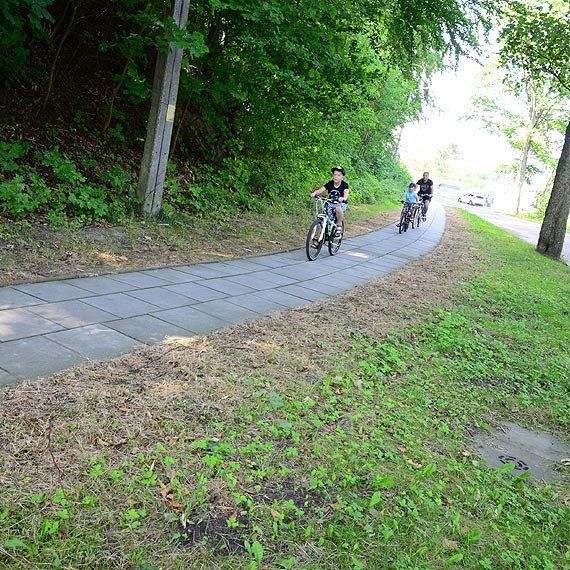 Czytelnik: Pobocza �cie�ek rowerowych i chodnik�w spryskane zosta�y herbicydem