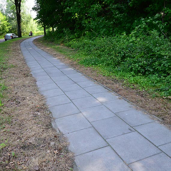 Czytelnik: Pobocza ścieżek rowerowych i chodników spryskane zostały herbicydem