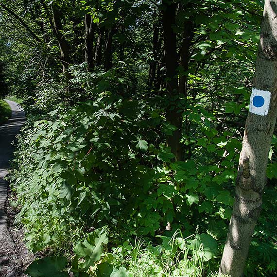 Polacy na szlaku – czy wiedzą, jak być po stronie natury