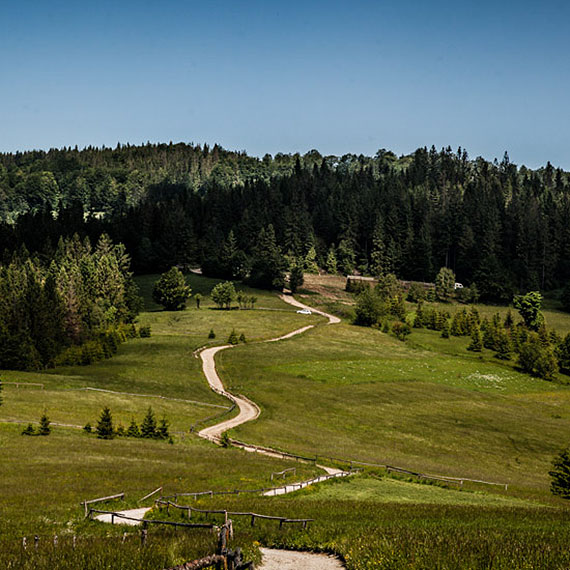 Polacy na szlaku – czy wiedzą, jak być po stronie natury