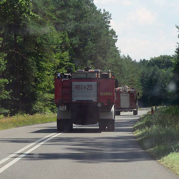 Stra�acy s� dobrzy na wszystko!