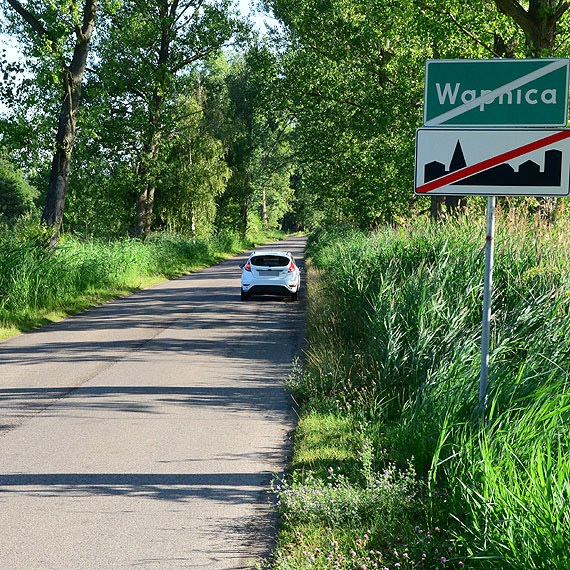 Czytelnik: Niebezpieczna droga z Wicka do Wapnicy. Przez kilkumetrowe trzciny, nie wida� zwierzyny 