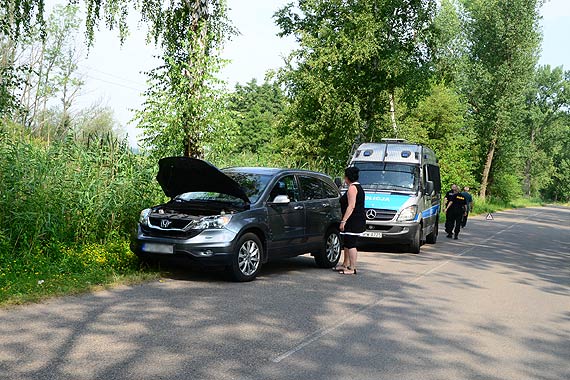 Czytelnik: Niebezpieczna droga z Wicka do Wapnicy. Przez kilkumetrowe trzciny, nie wida� zwierzyny 