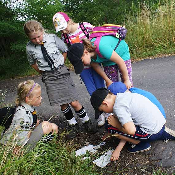 Kolonia zuchowa "Akademia Przyrodnik�w"
