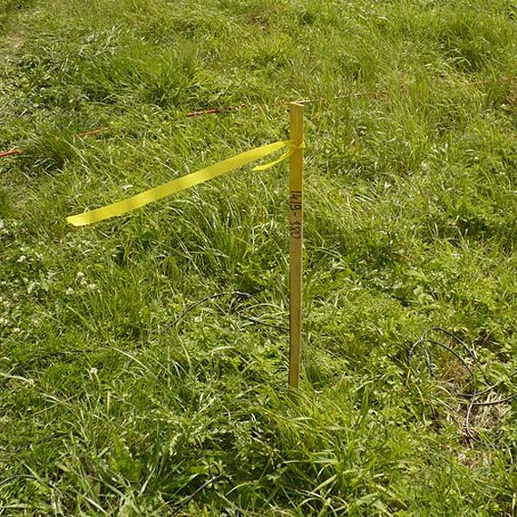 Poszukiwania na terenie gminy Golczewo