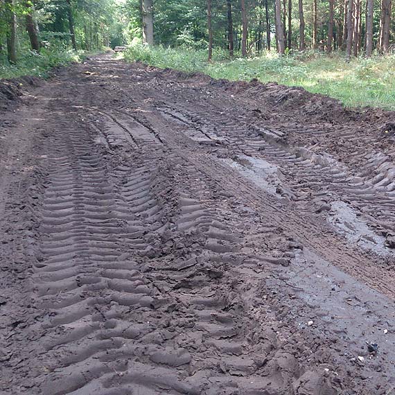Remont mostu na Wo�czy zostanie wykonany najp�niej do 1 wrze�nia