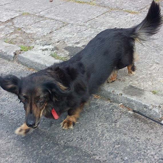 Jedna zguba się odnalazła. Szukamy kolejnej