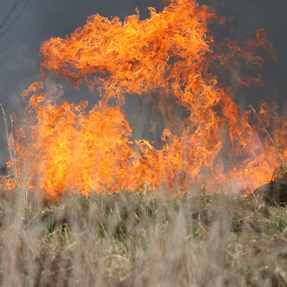 Po�ar w skansenie S�owian i Wiking�w w Wolinie