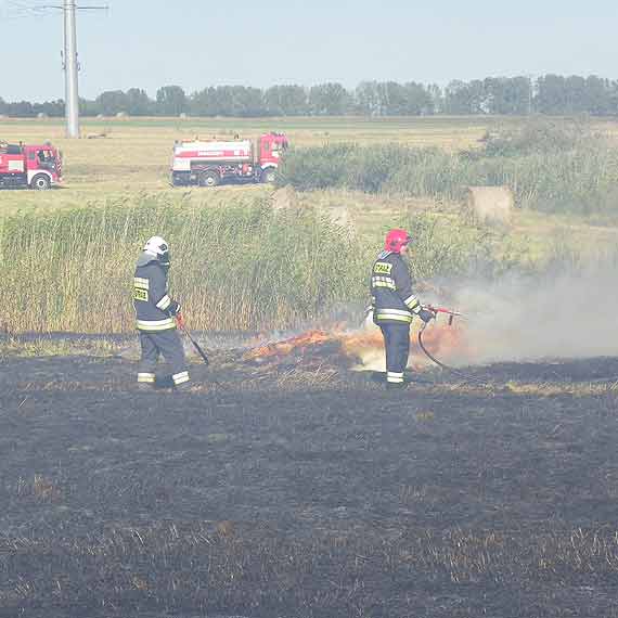 P�onie siano pod Skarchowem 