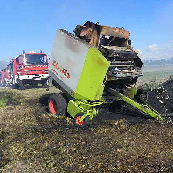 P�onie siano pod Skarchowem 