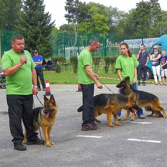 Rasowce i wielorasowce na ringu