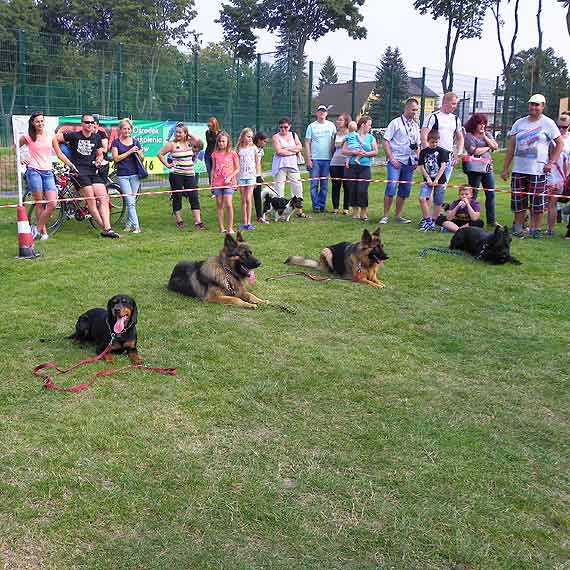 Rasowce i wielorasowce na ringu