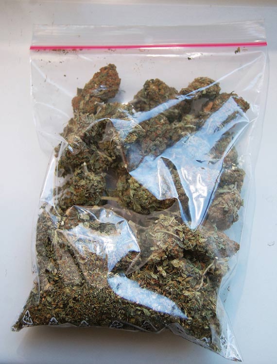 ARESZT ZA POSIADANIE NARKOTYK�W