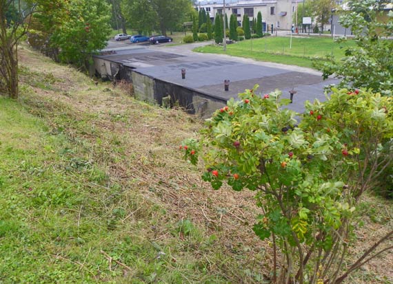 Przy ulicy Kopernika w Kamieniu Pomorskim znaleziono zw�oki m�czyzny