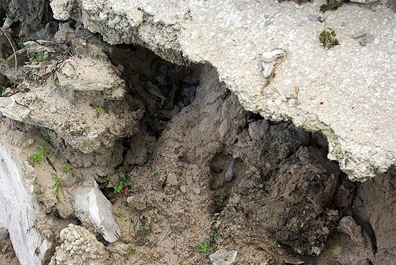 Ładne. Tylko czy bezpieczne?