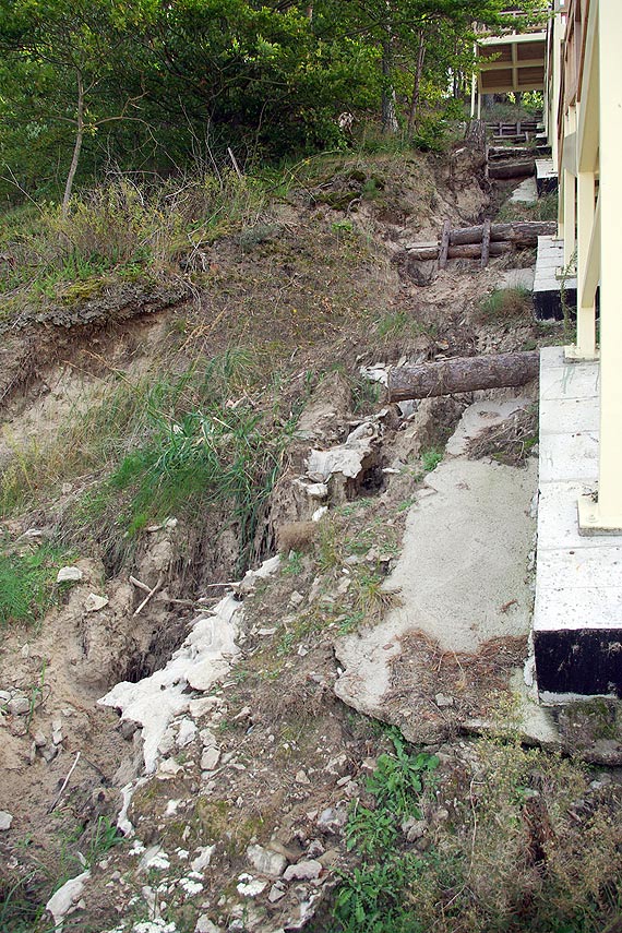 Ładne. Tylko czy bezpieczne?