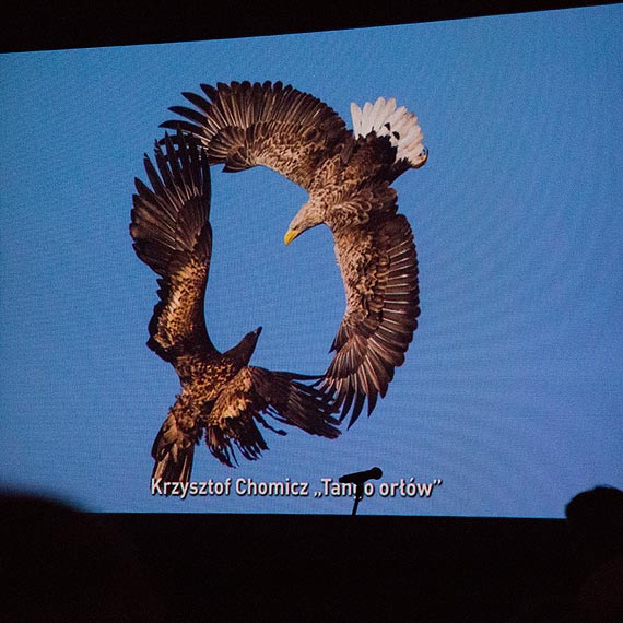 Or�y Krzysztofa poszybowa�y wysoko
