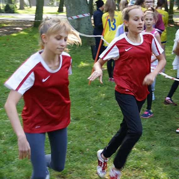 Sztafety prze�ajowe 2014