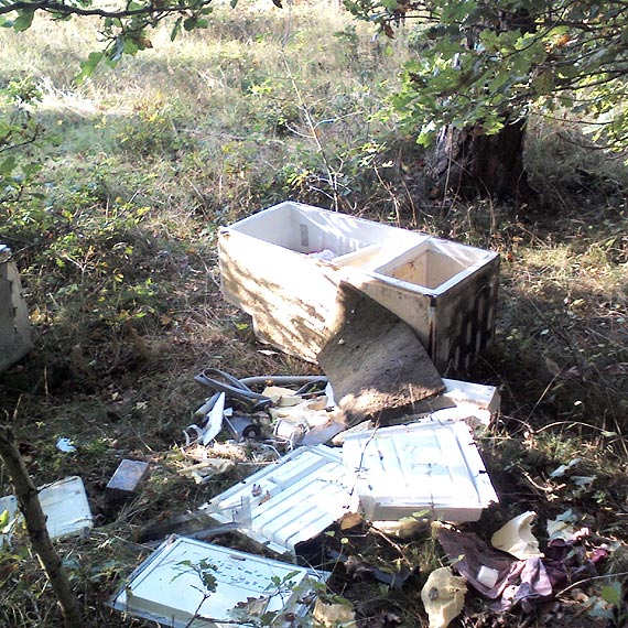 W�a�ciciel tych lod�wek by� za leniwy?