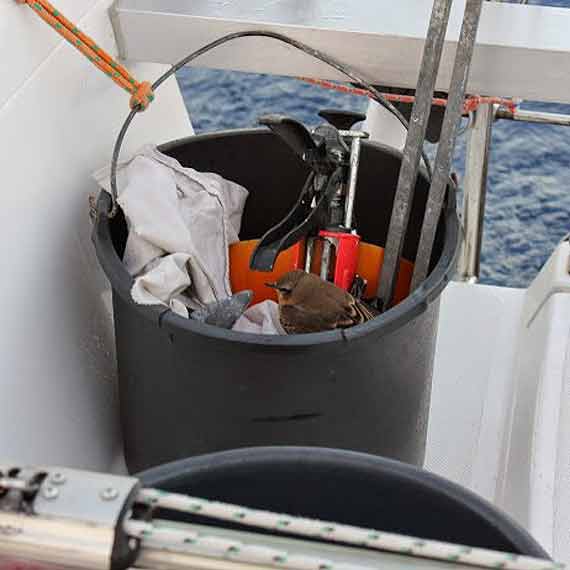 Biskaju ci�g dalszy...