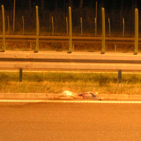 Kolizja na krajowej tr�jce, jedna osoba dozna�a obra�e�