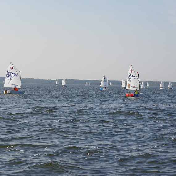 Optymi�ciarze podsumuj� rok dzia�alno�ci