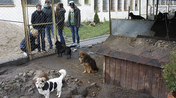 Do serca przytul psa