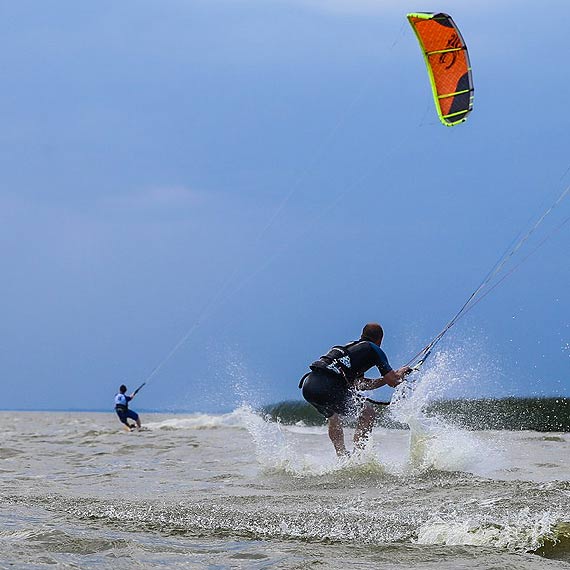 Latawce kontra ptaki? To bzdura! - m�wi nasz Czytelnik
